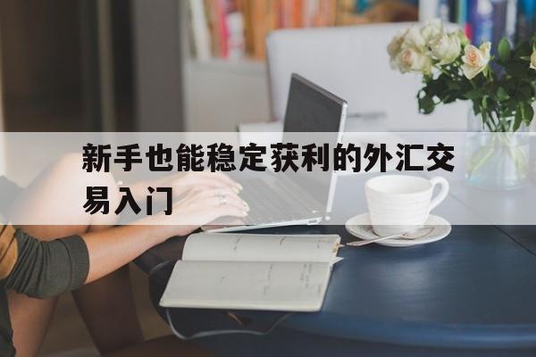 新手也能稳定获利的外汇交易入门的简单介绍